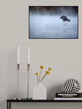 Looking for breakfast Poster och Canvastavla