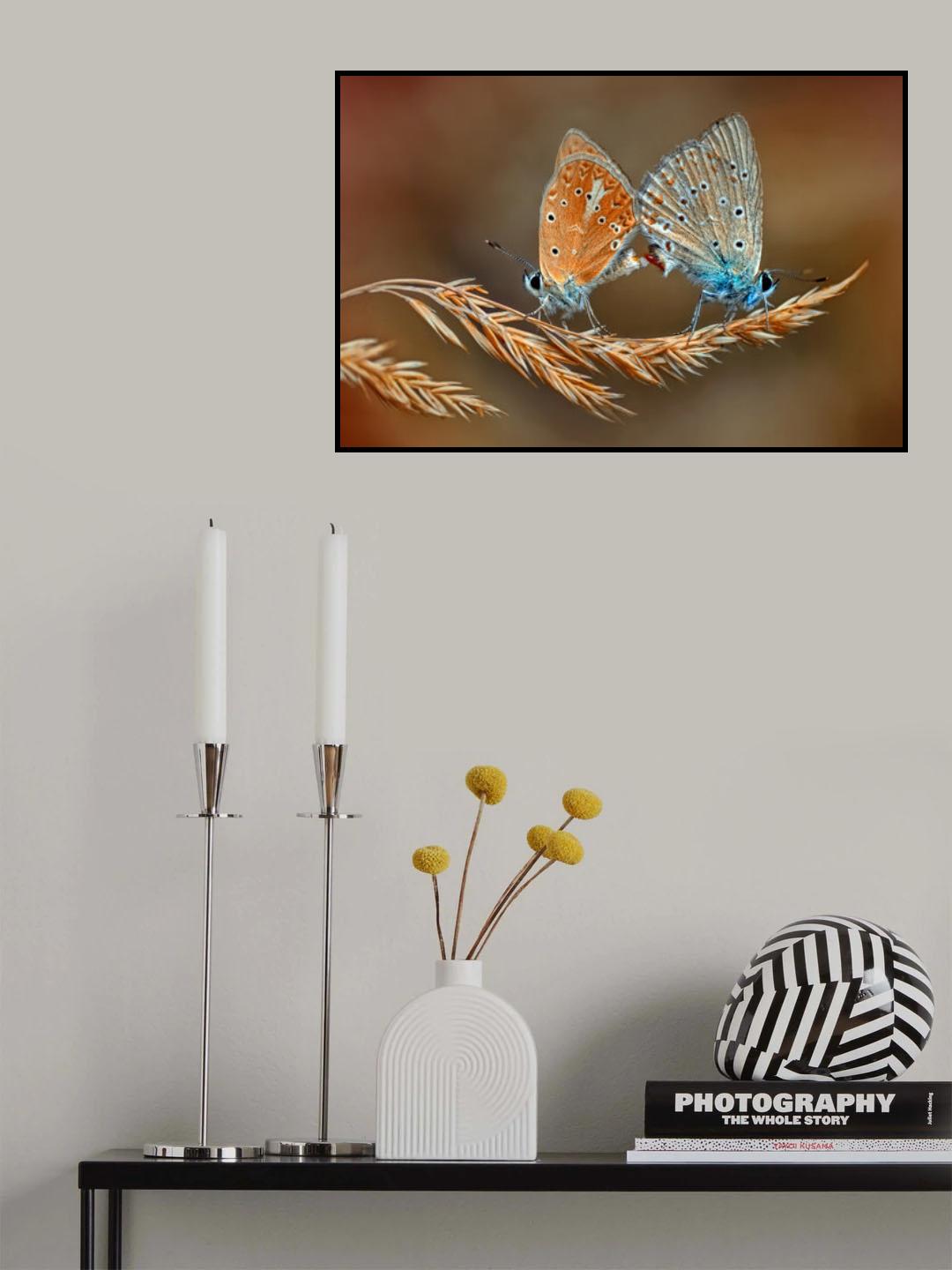 Love Poster och Canvastavla