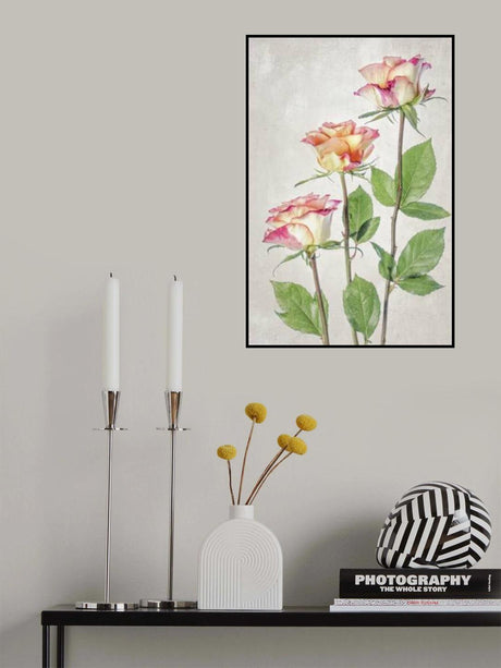 Roses Poster och Canvastavla