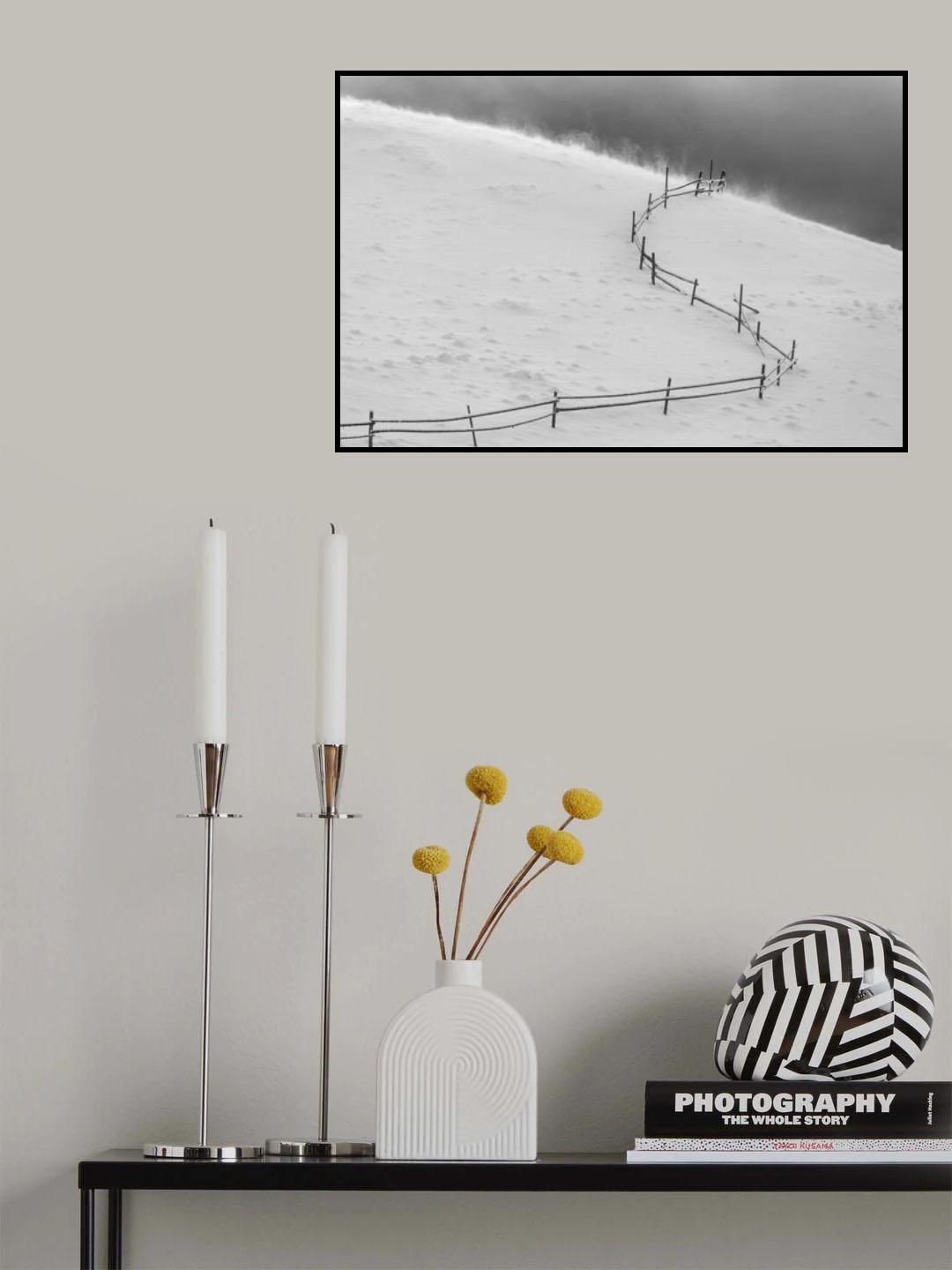 B U C O V I N A Poster och Canvastavla