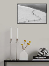 B U C O V I N A Poster och Canvastavla