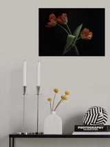 Tulips in vase Poster och Canvastavla