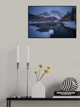 Snowy Larch Symphony Poster och Canvastavla