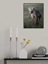 Poster och Canvastavla