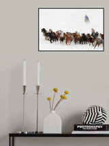 Horse run in the snow Poster och Canvastavla