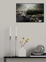 Shepherd Poster och Canvastavla