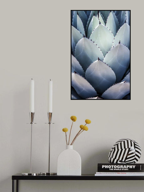 Blue Agave Side Poster och Canvastavla