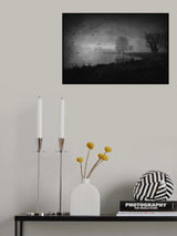 Twilight in the swamp... Poster och Canvastavla