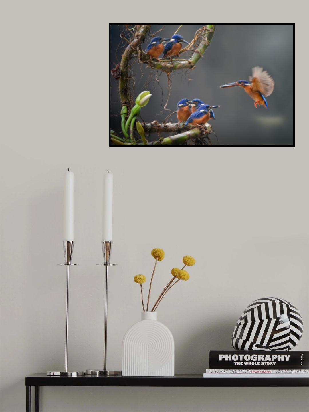 the blue king fishers Poster och Canvastavla