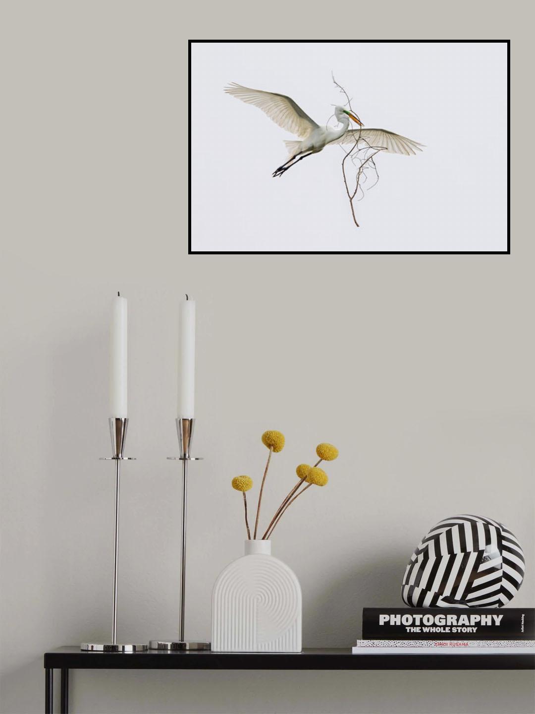 The husband is a hard-working bird. Poster och Canvastavla