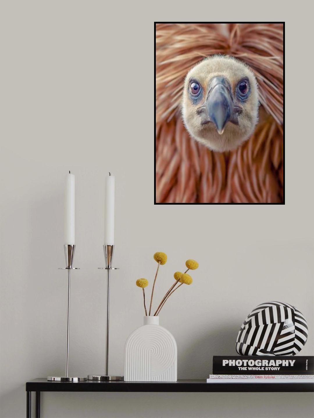 sharp look Poster och Canvastavla