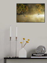Egret Poster och Canvastavla