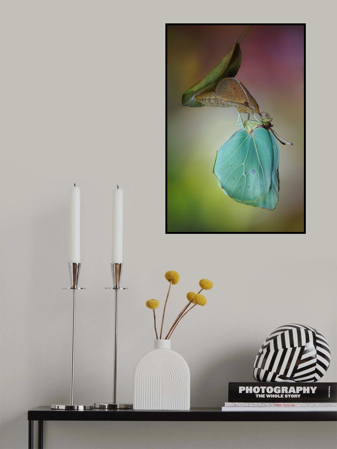 La cleopatra Poster och Canvastavla
