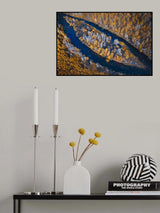 Forest flagship Poster och Canvastavla