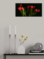 Orange tulips Poster och Canvastavla