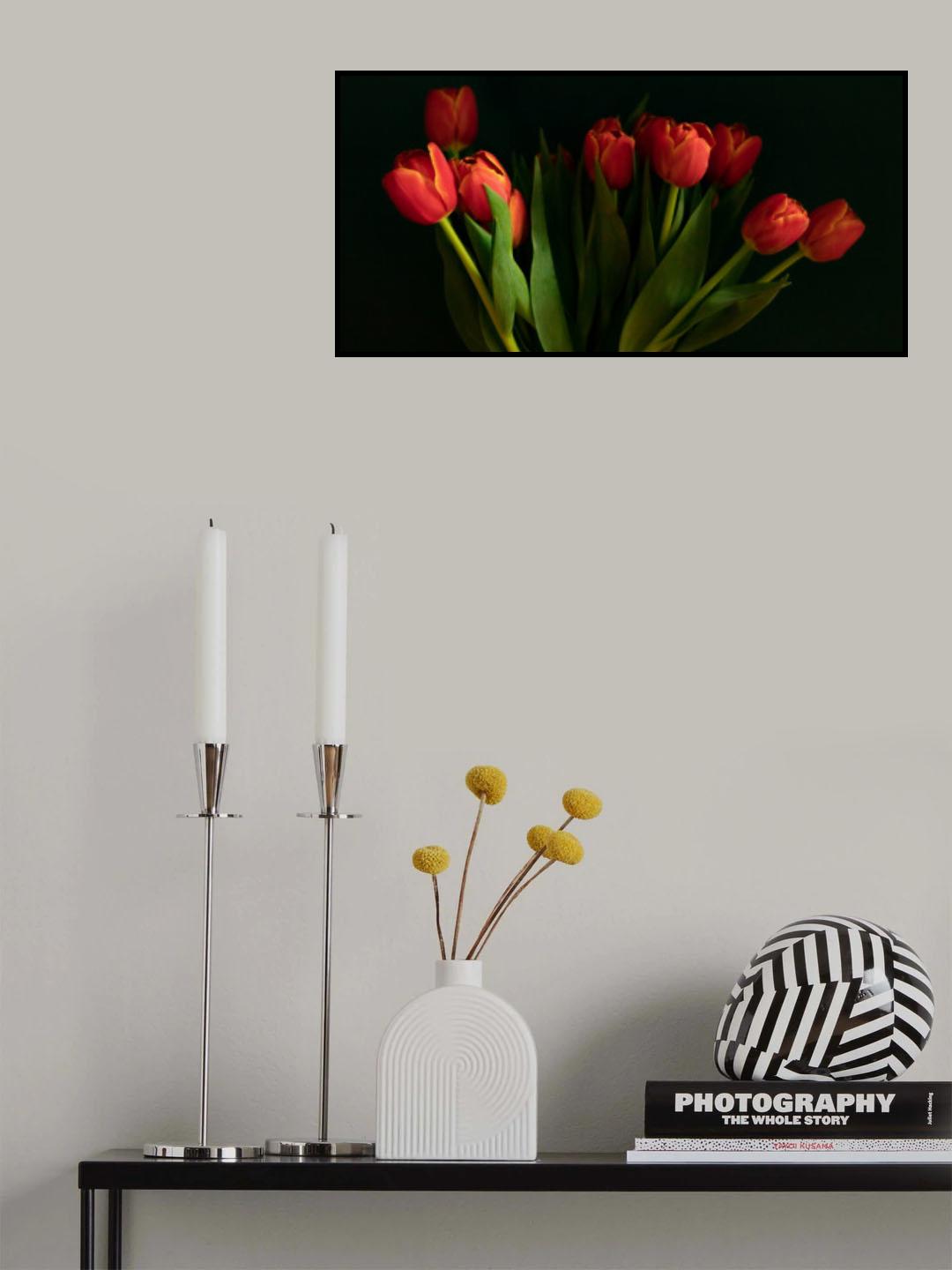 Orange tulips Poster och Canvastavla