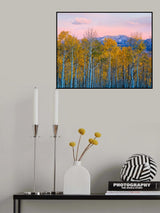 Autumn Delight Poster och Canvastavla