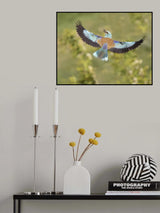 Bird in flight Poster och Canvastavla