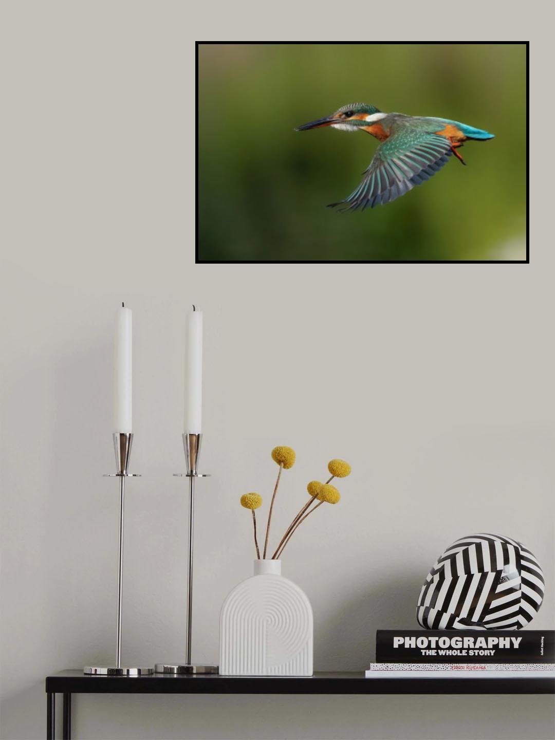 Flight Mode Poster och Canvastavla