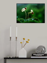 Move On Poster och Canvastavla