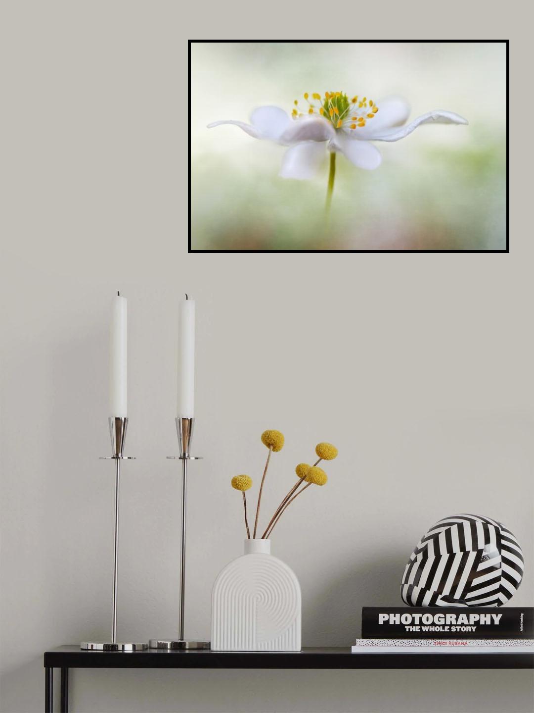 Nemorosa* Poster och Canvastavla