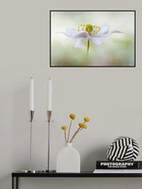 Nemorosa* Poster och Canvastavla