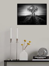 in the minds of hope Poster och Canvastavla
