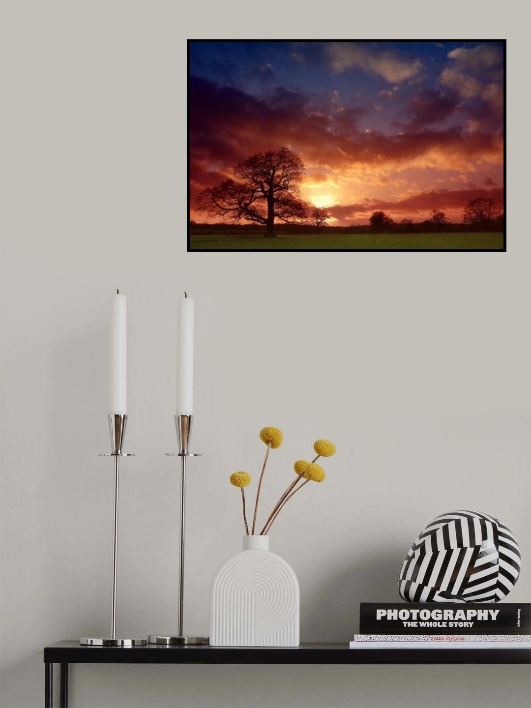Even Trees Like to Watch the Sunset... Poster och Canvastavla