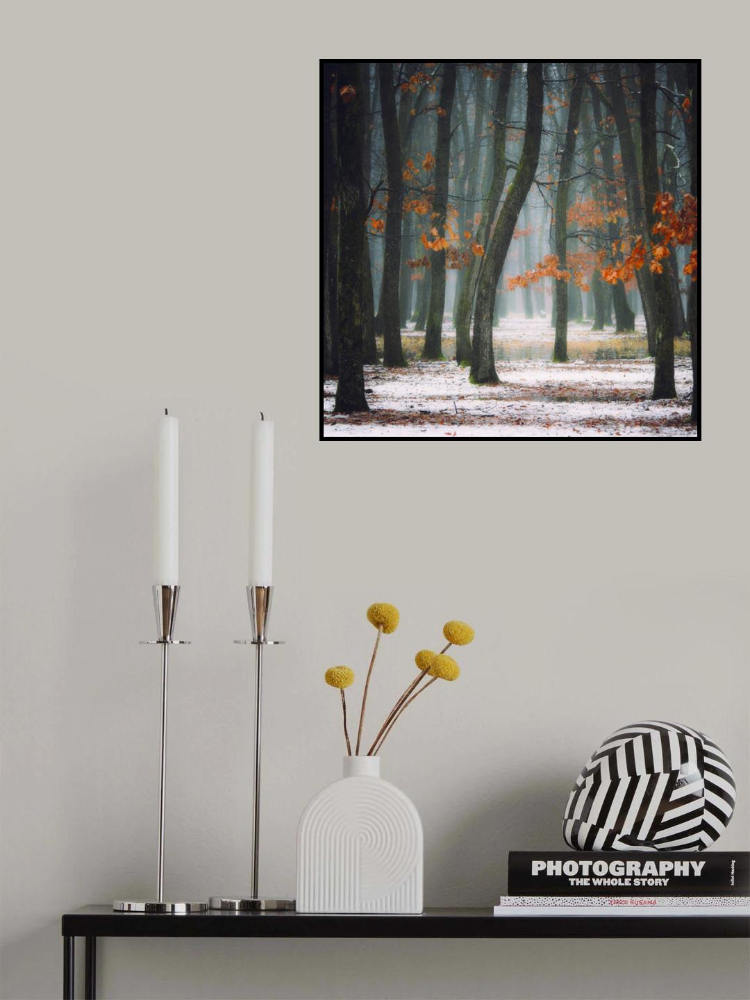 Autumn in my soul Poster och Canvastavla