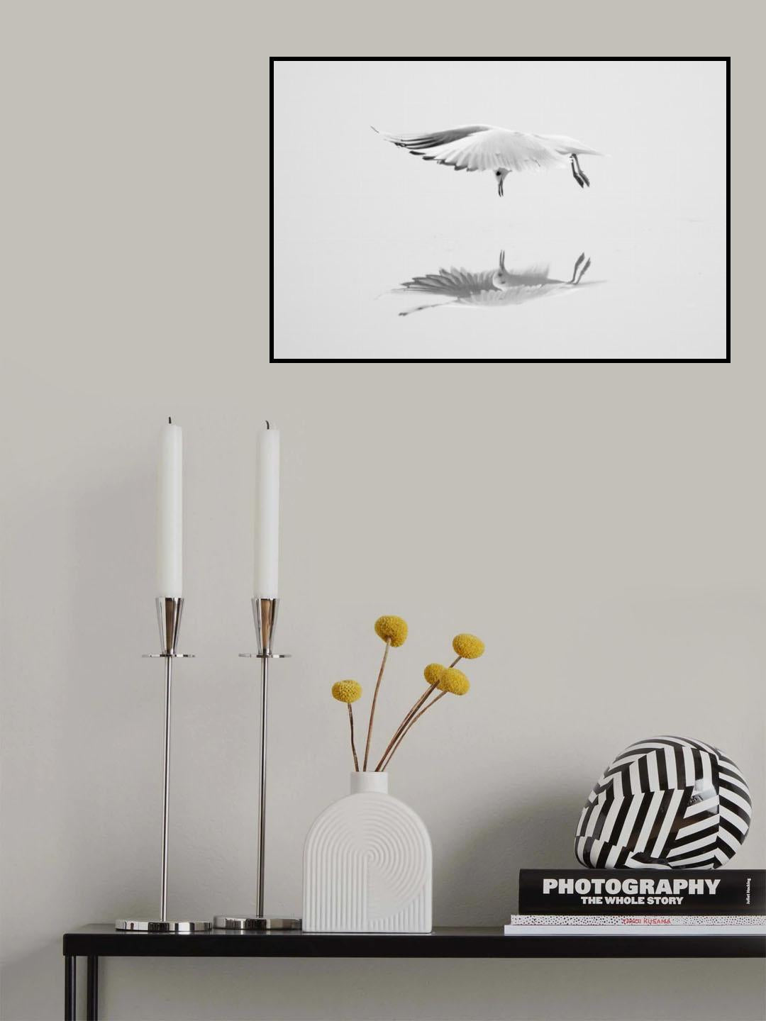 Narcissus Poster och Canvastavla