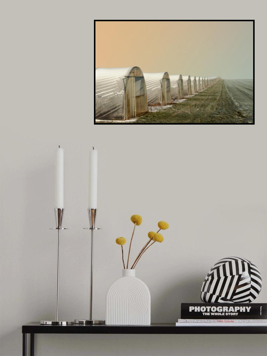 Greenhouses in winter Poster och Canvastavla
