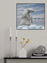 The Big Hug Poster och Canvastavla