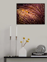 Hide and seek... Poster och Canvastavla