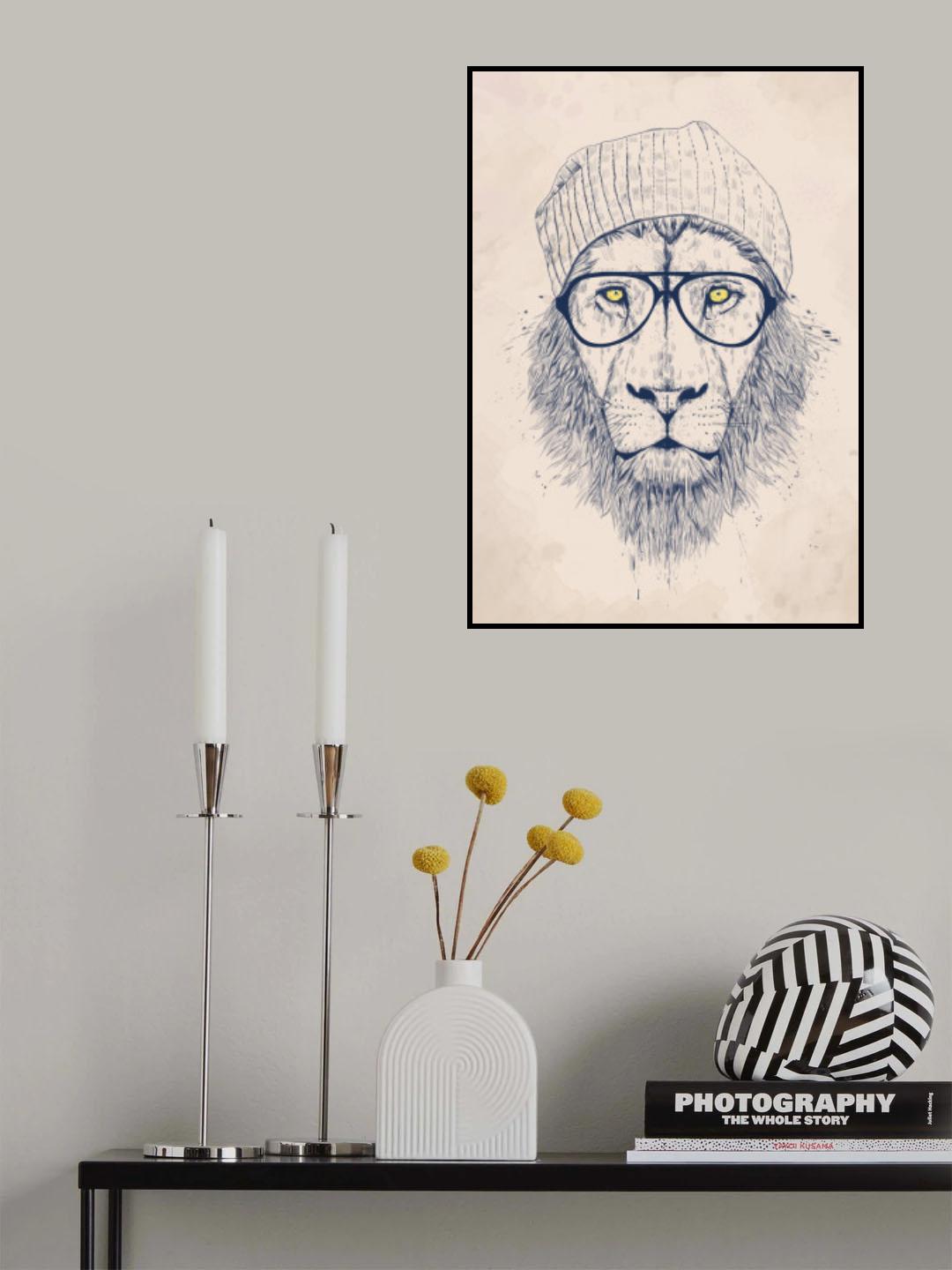 Cool lion Poster och Canvastavla