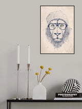 Cool lion Poster och Canvastavla