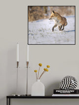Running Fox Poster och Canvastavla