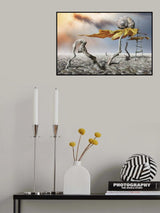 Flying Poster och Canvastavla