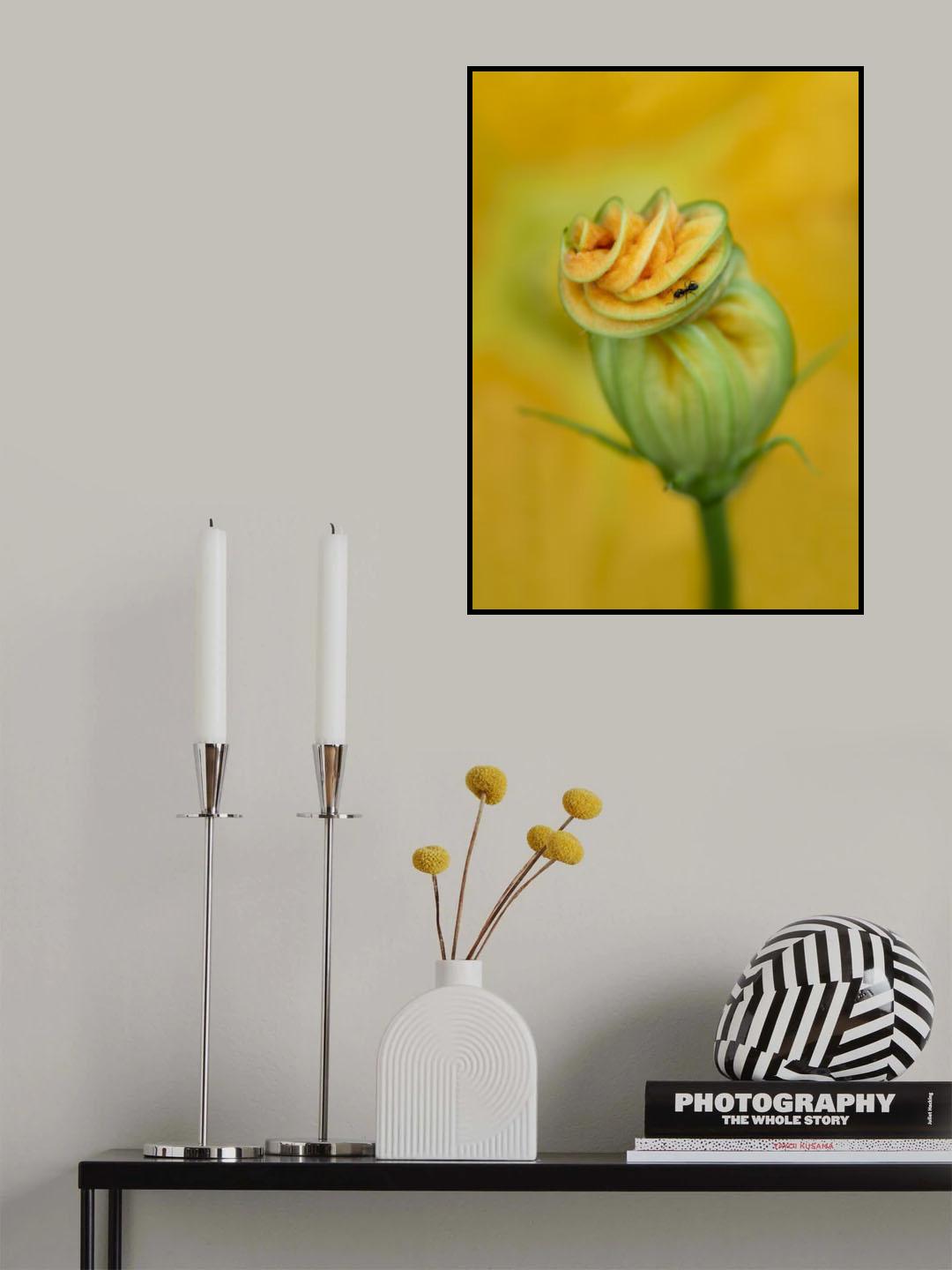 Zucchini flower with ant Poster och Canvastavla