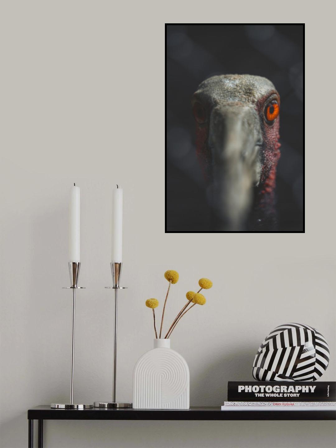 Staring eyes Poster och Canvastavla