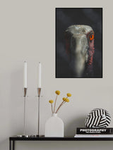 Staring eyes Poster och Canvastavla