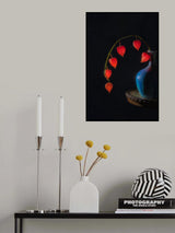 Chinese Lantern Poster och Canvastavla