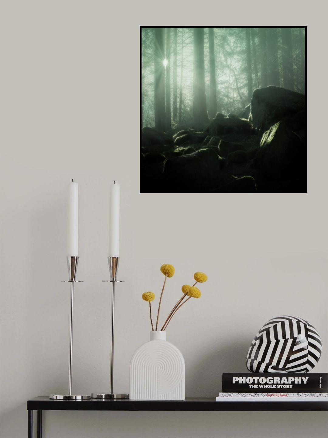 The Druids' site Poster och Canvastavla
