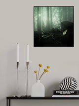 The Druids' site Poster och Canvastavla