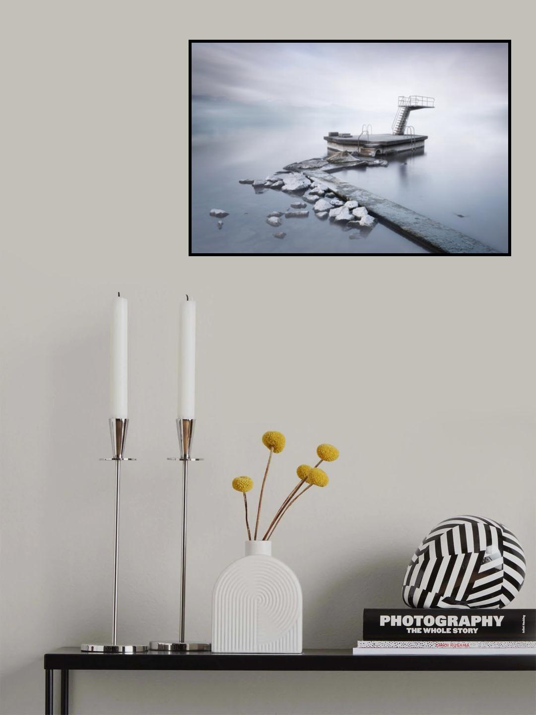 The springboard Poster och Canvastavla