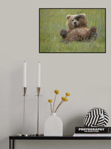 Who's There ? Poster och Canvastavla