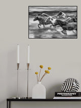 Mongolia Horses Poster och Canvastavla