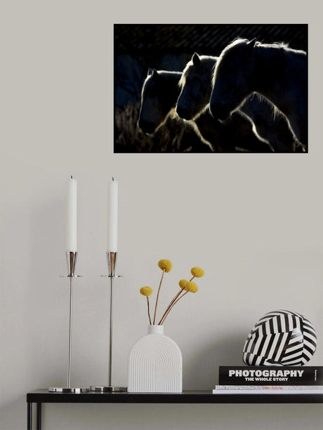 Horses (colored version) Poster och Canvastavla