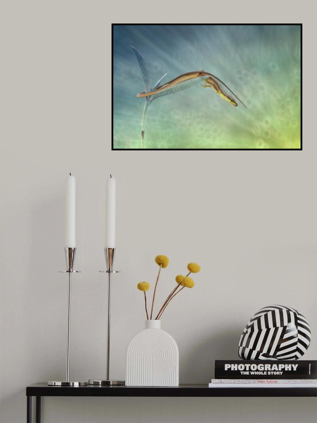 kadal gelo Poster och Canvastavla