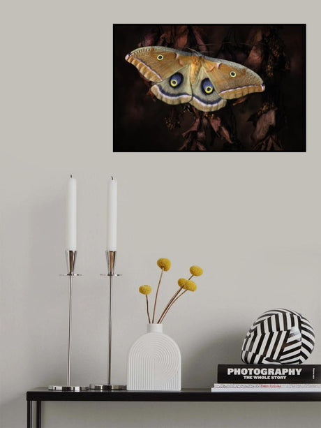 Polyphemus Poster och Canvastavla