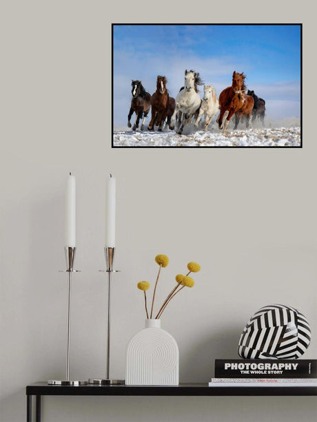Mongolia Horses Poster och Canvastavla